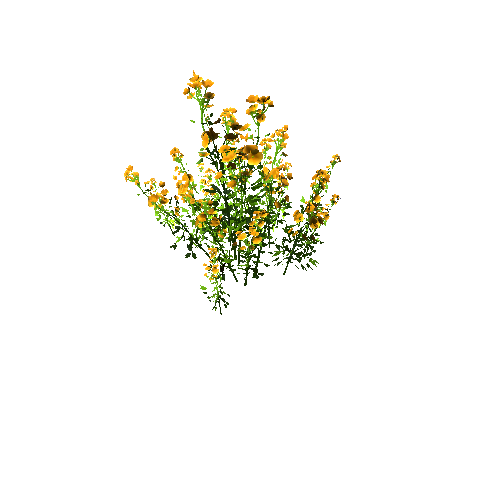 FlowersClump_Yellow A (Optimized)